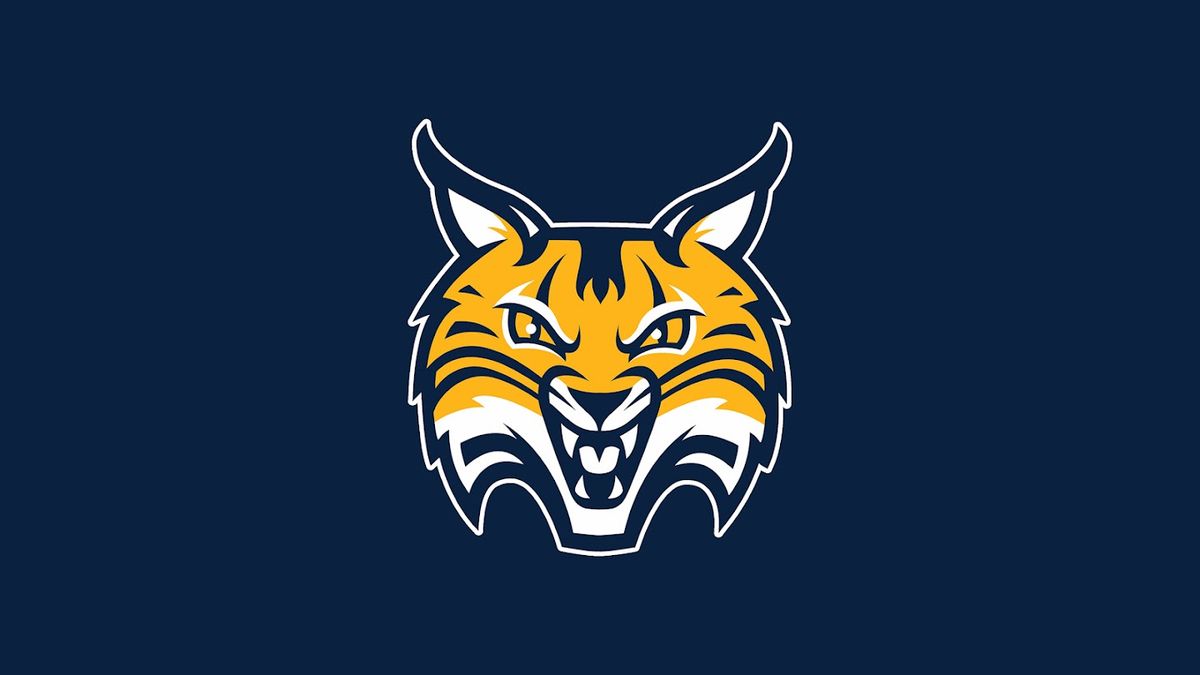 Stonehill Skyhawks at Quinnipiac Bobcats Mens Basketball