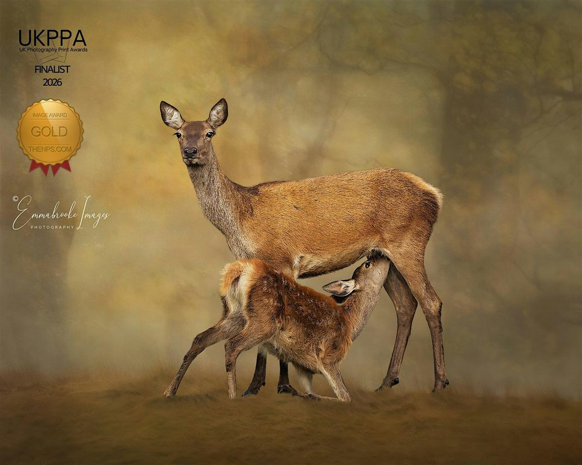 For The Love of Wildlife