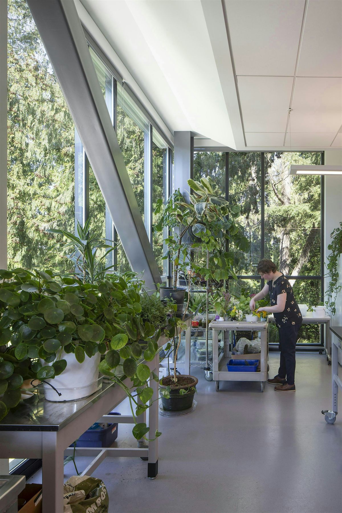 Pae Engineering I2SL PNW Chapter - Pierce College Teaching Laboratories at PAE ...