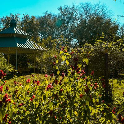 USF Botanical Gardens