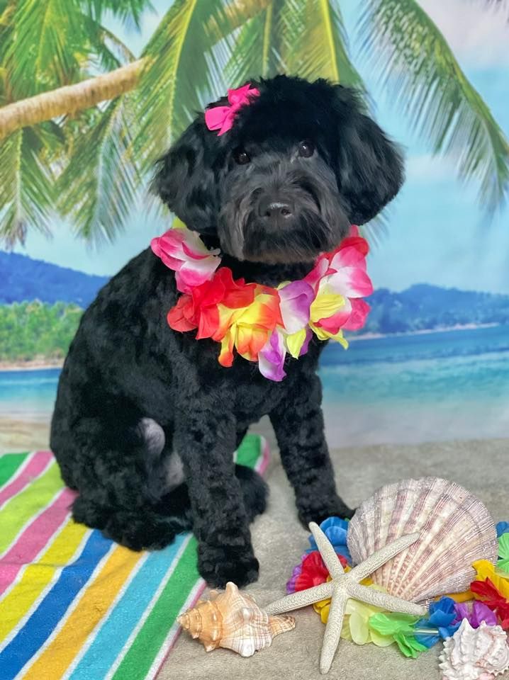 MAGGIE\u2019S FIRST BIRTHDAY!