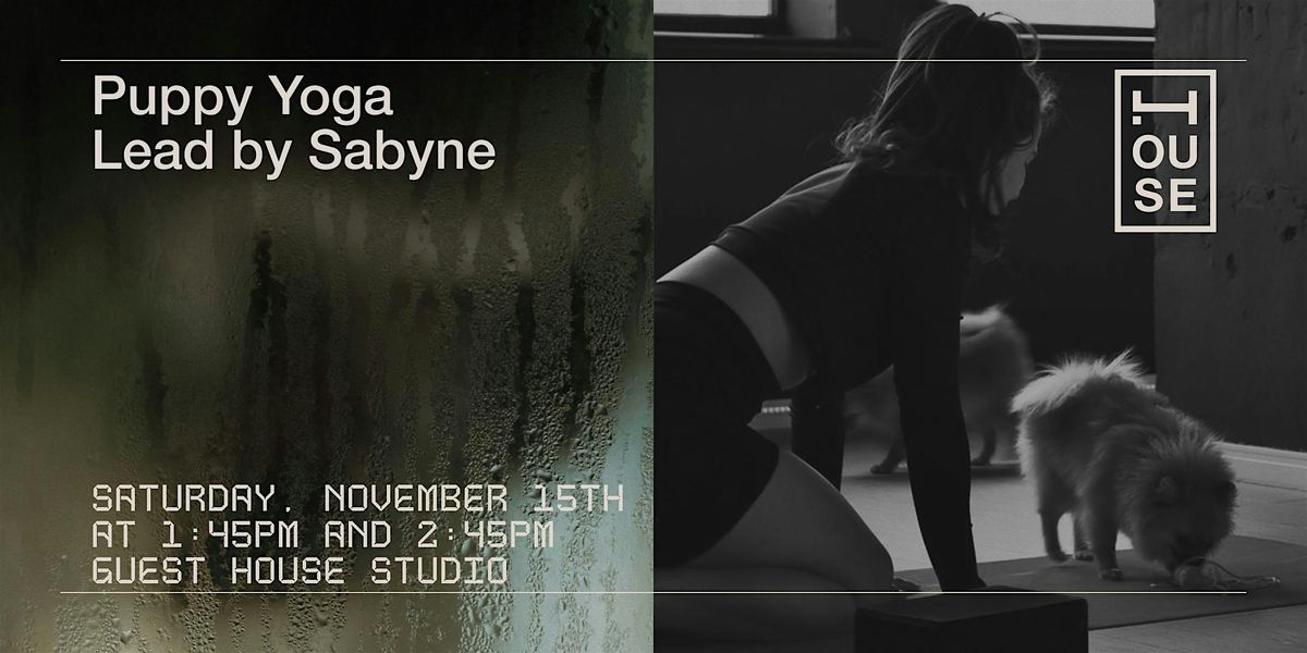 Puppy Yoga at House Concepts