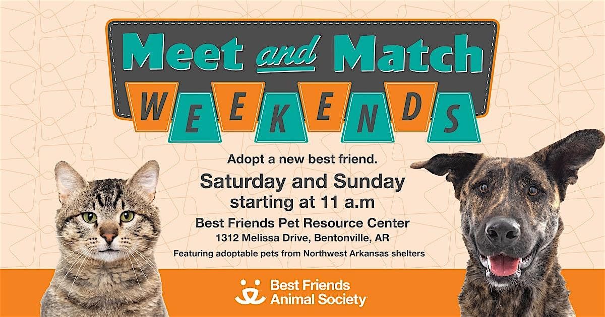 Meet & Match Saturdays