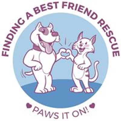 Finding A Best Friend Rescue