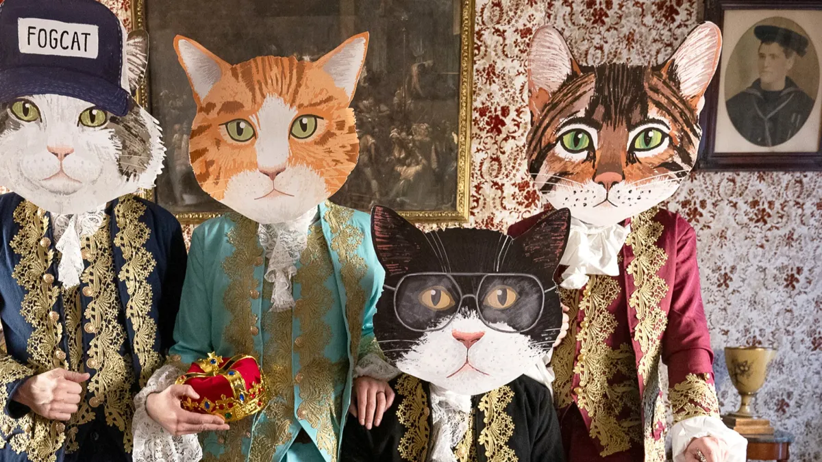 Fantastic Cat, Bruce Sudano in Northampton