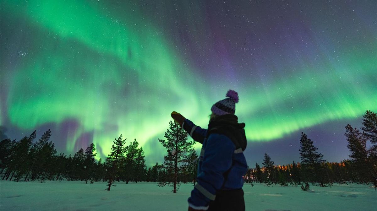 Borealis - A Holiday Spectacular!