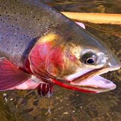 Wyoming Trout Unlimited