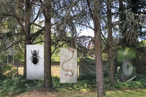 Kunst auf der Liegewiese Werke von 16 K\u00fcnstlern. Vernissage