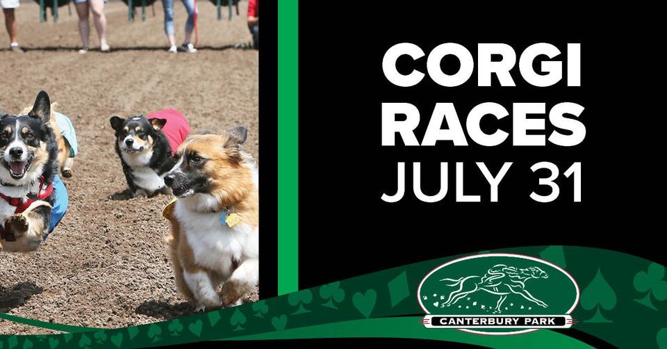 Corgi Dog Race Day