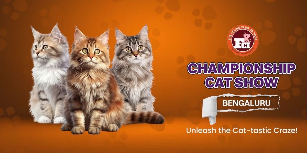 Championship Cat Show Bengaluru