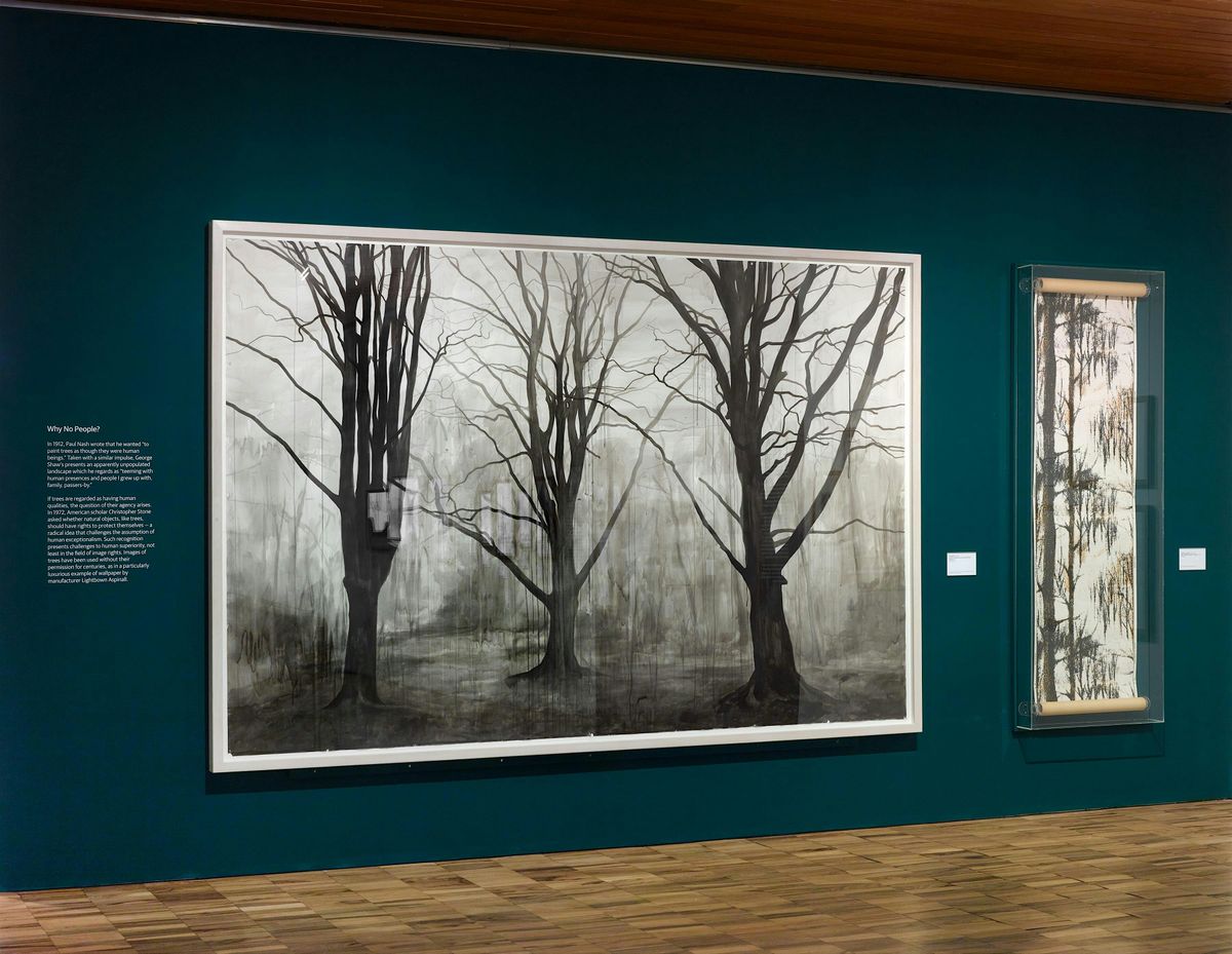 Performing Trees Exhibition: Curator Tour
