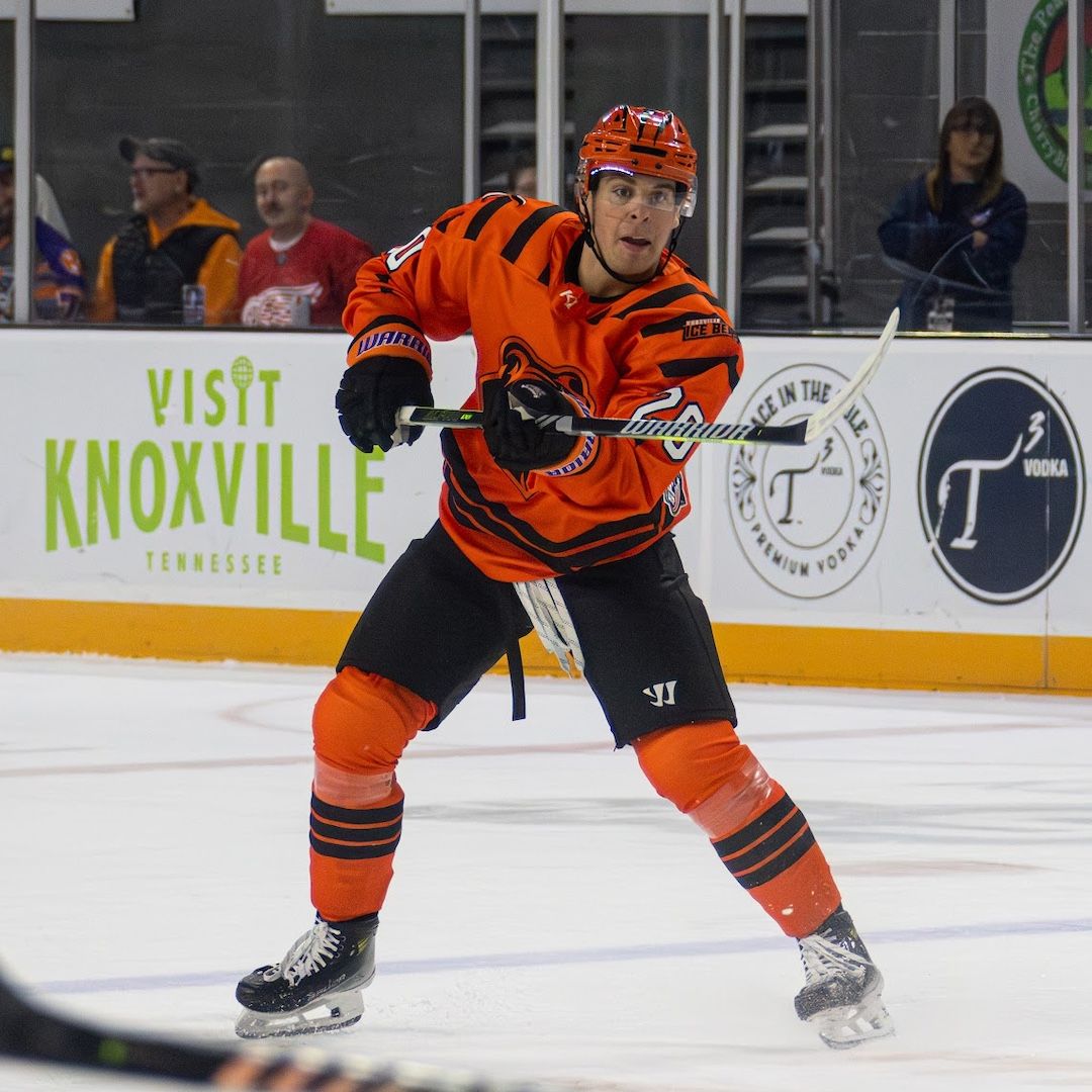 Knoxville Ice Bears at Birmingham Bulls at Pelham Civic Complex