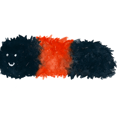 Woolly Bear Books and Gifts