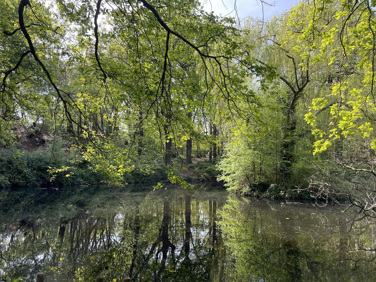 Forest Bathing in association with Creative Nature HQ - New dates added
