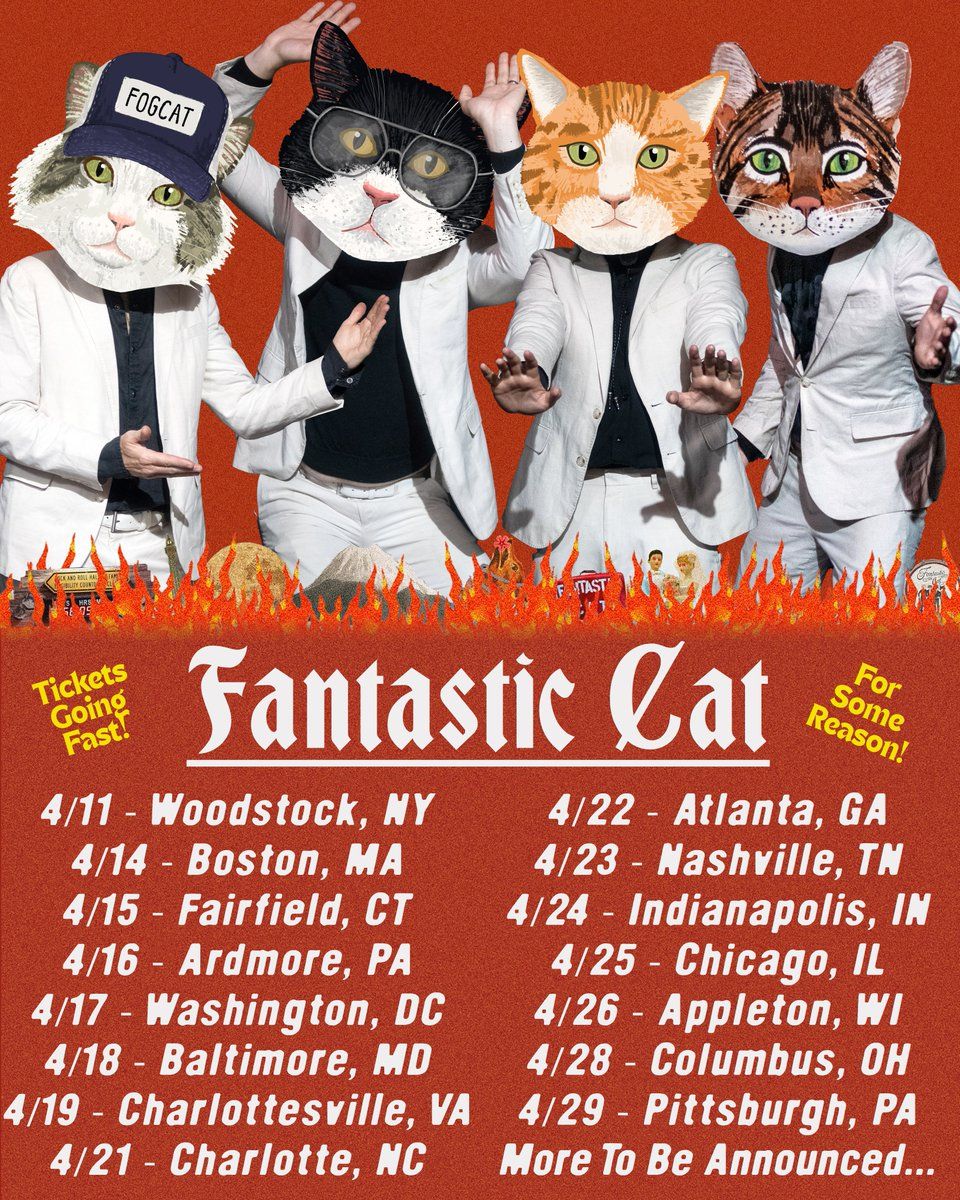 The Amazing Acro-Cats