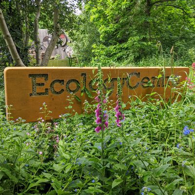 Holland Park Ecology Centre