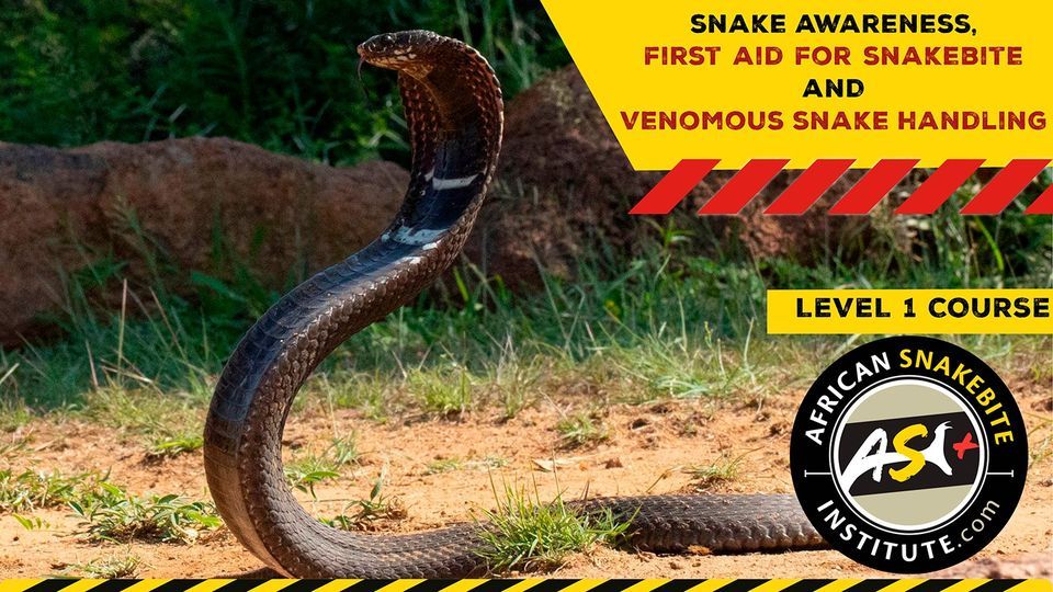 Snake Sat Snake Awareness First aid for Snakebite, Venomous Snake Handling at ...