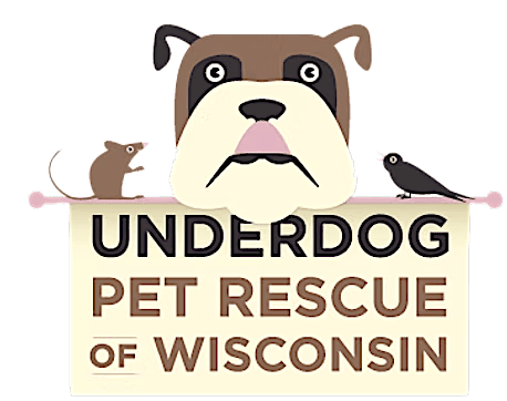 Underdog Pet Rescue @ The Kickback