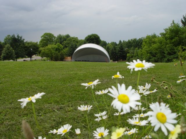 Summer Concert Series