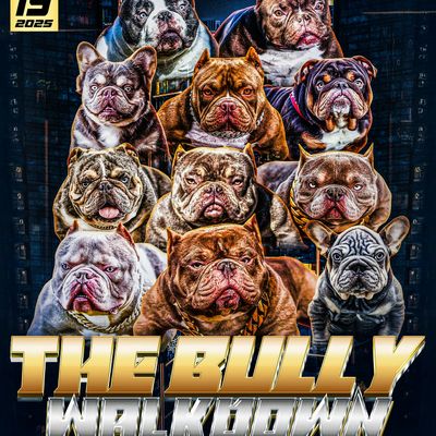 THE BULLY WALKDOWN 2025