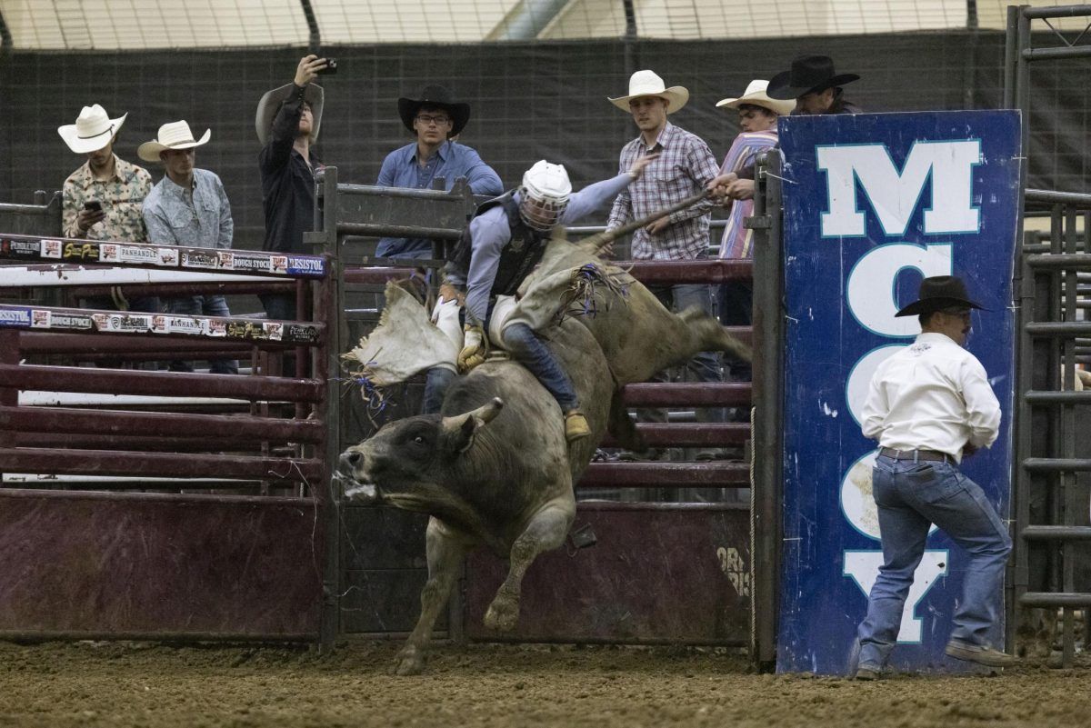McCoy Rodeo's Extreme Bull Bash at Southern Illinois Center