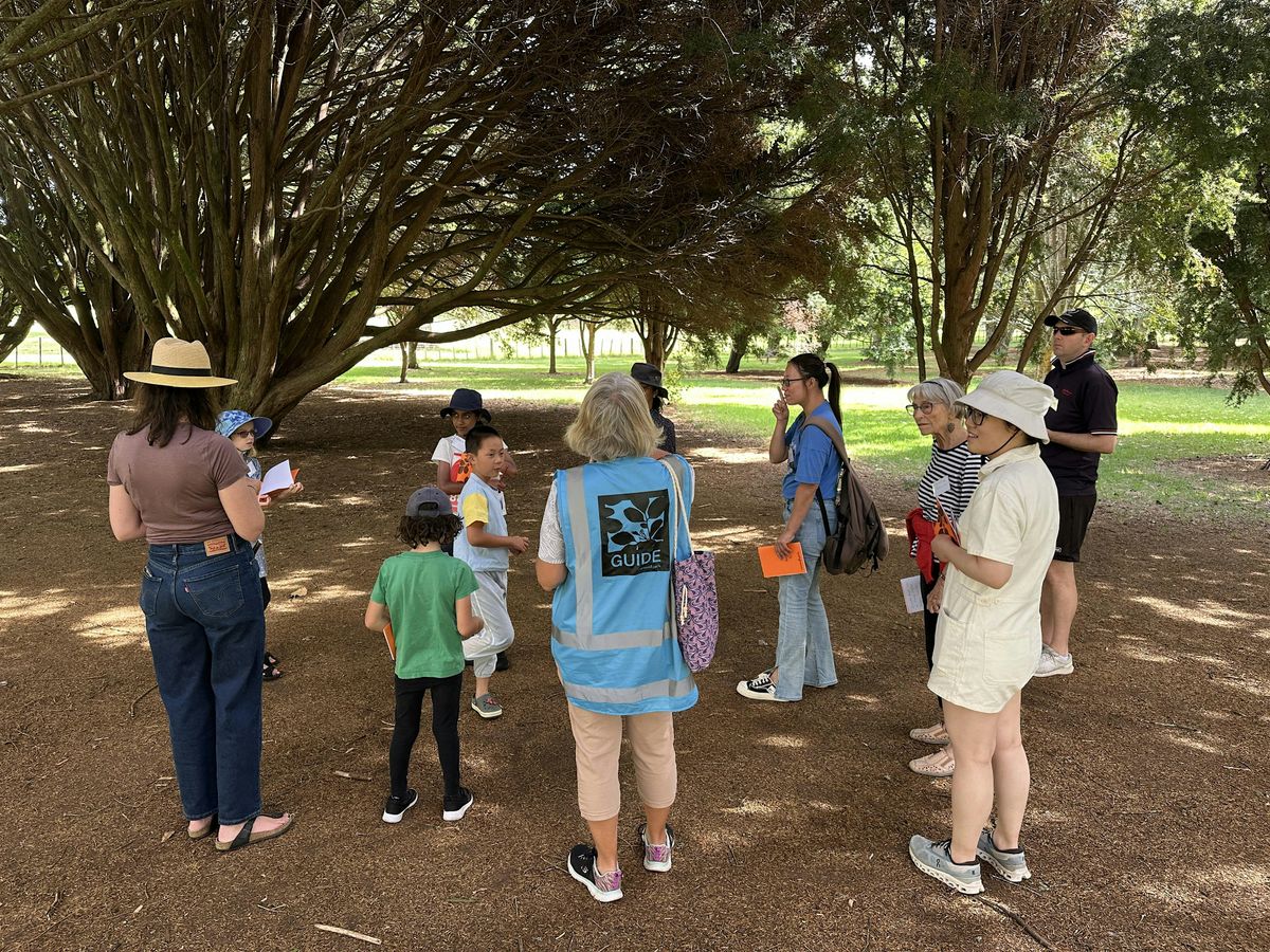 Guided Walk: Poetry for Tamariki