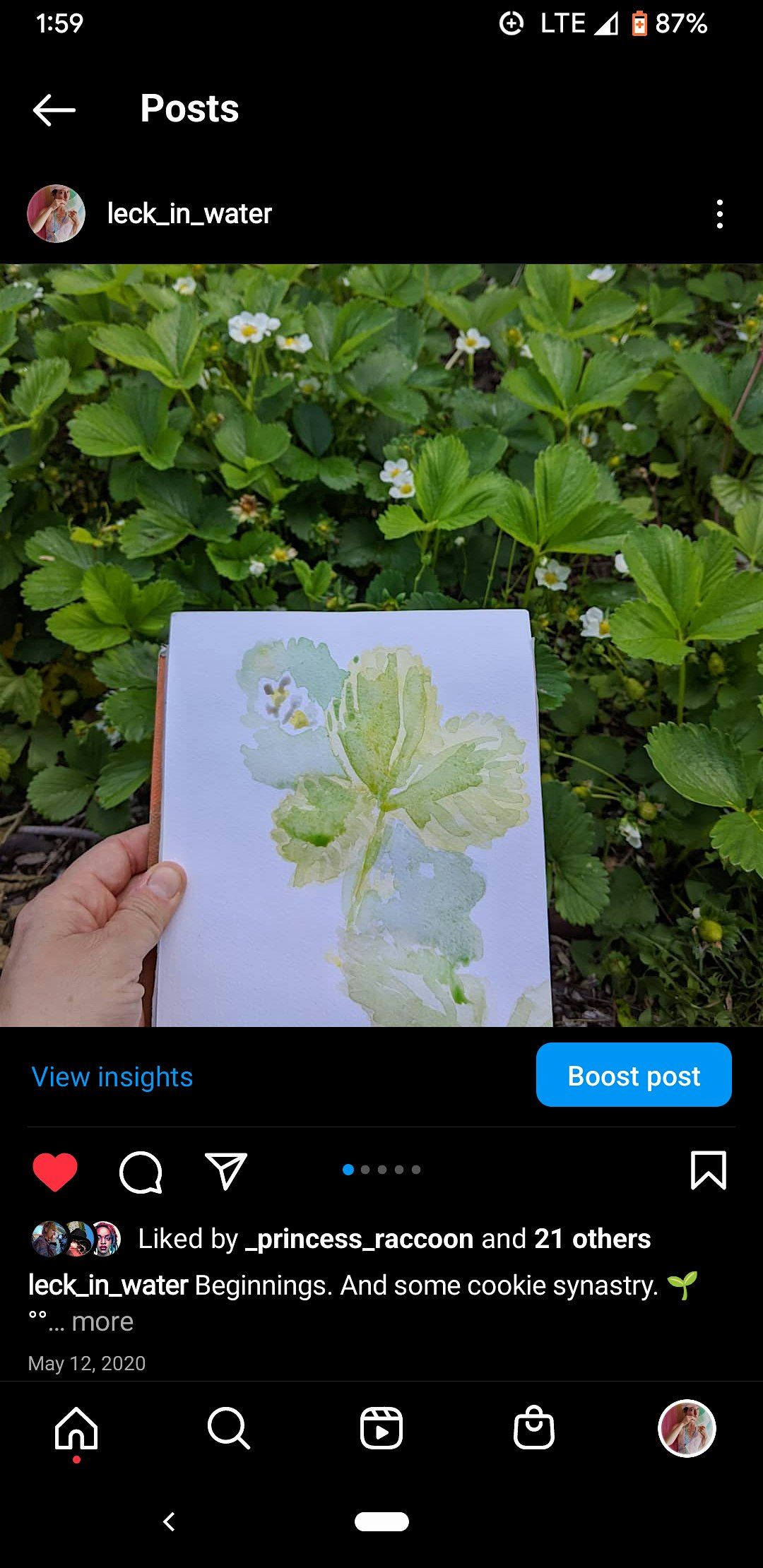 Plant on Paper: Botanical Illustration for All Levels