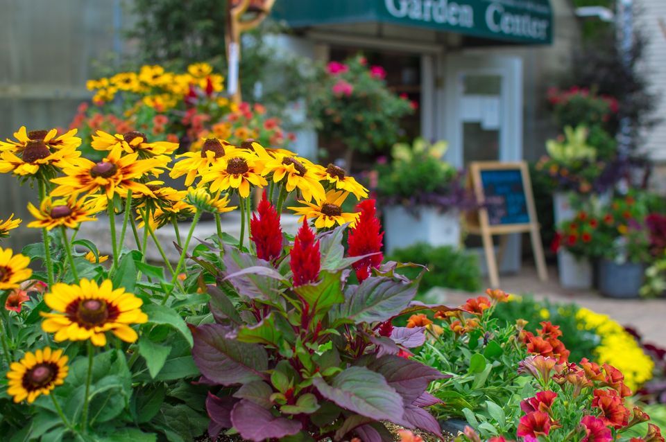Fall Planter Class 10am or 1pm Chesterfield Valley Nursery October