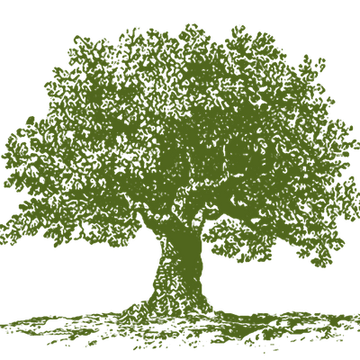 Newport Tree Conservancy