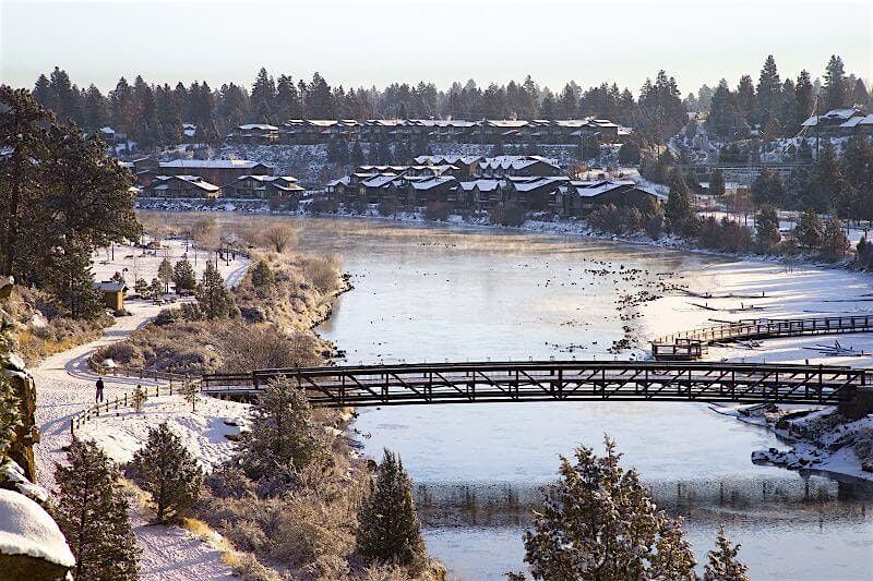 New Year Botany Walk