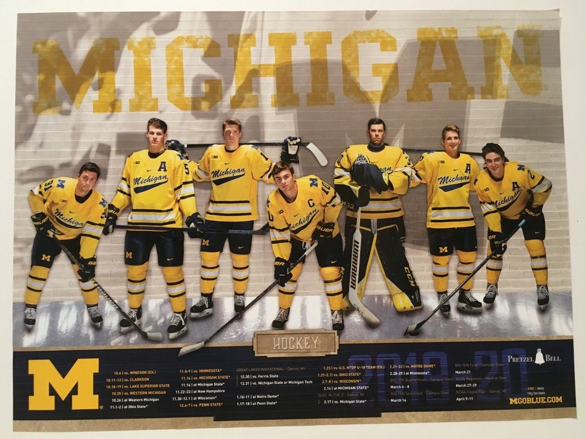 Duel In The D - Michigan State Spartans vs Michigan Wolverines Mens Hockey at Little Caesars Arena