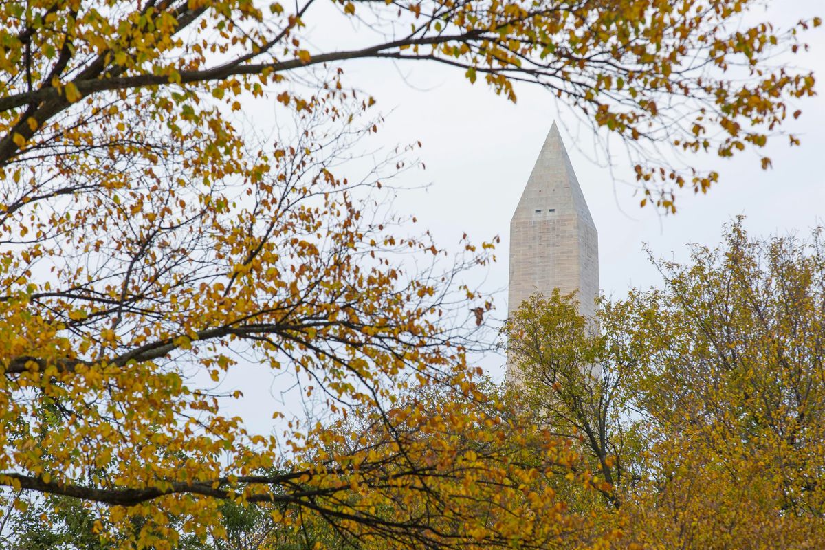 SUP Fall Capstone Showcase