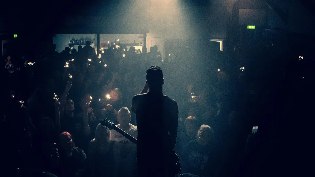 Drunken Swallows in Hannover