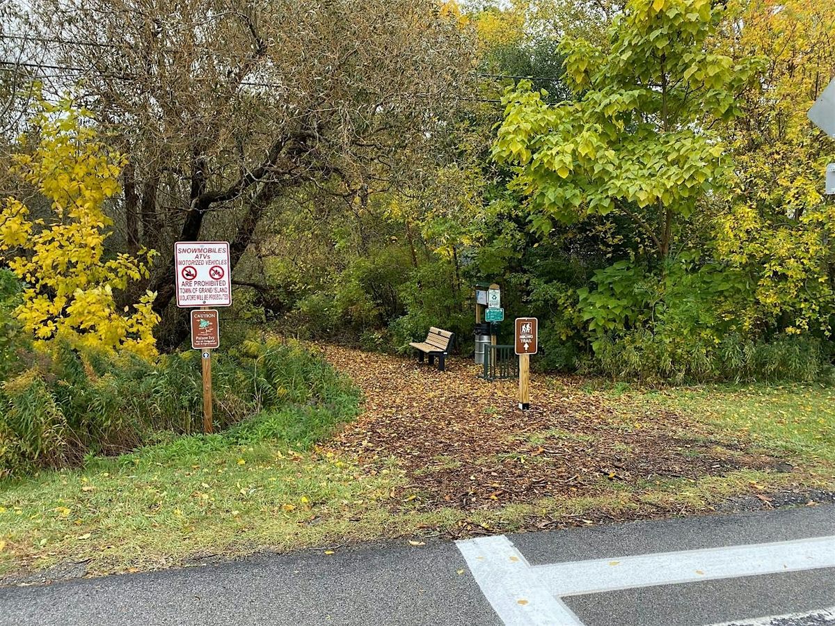 Walk with the Town Supervisor
