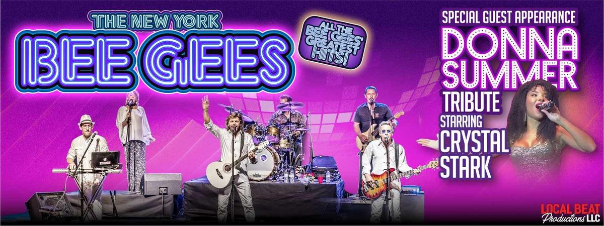 Parking The New York Bee Gees