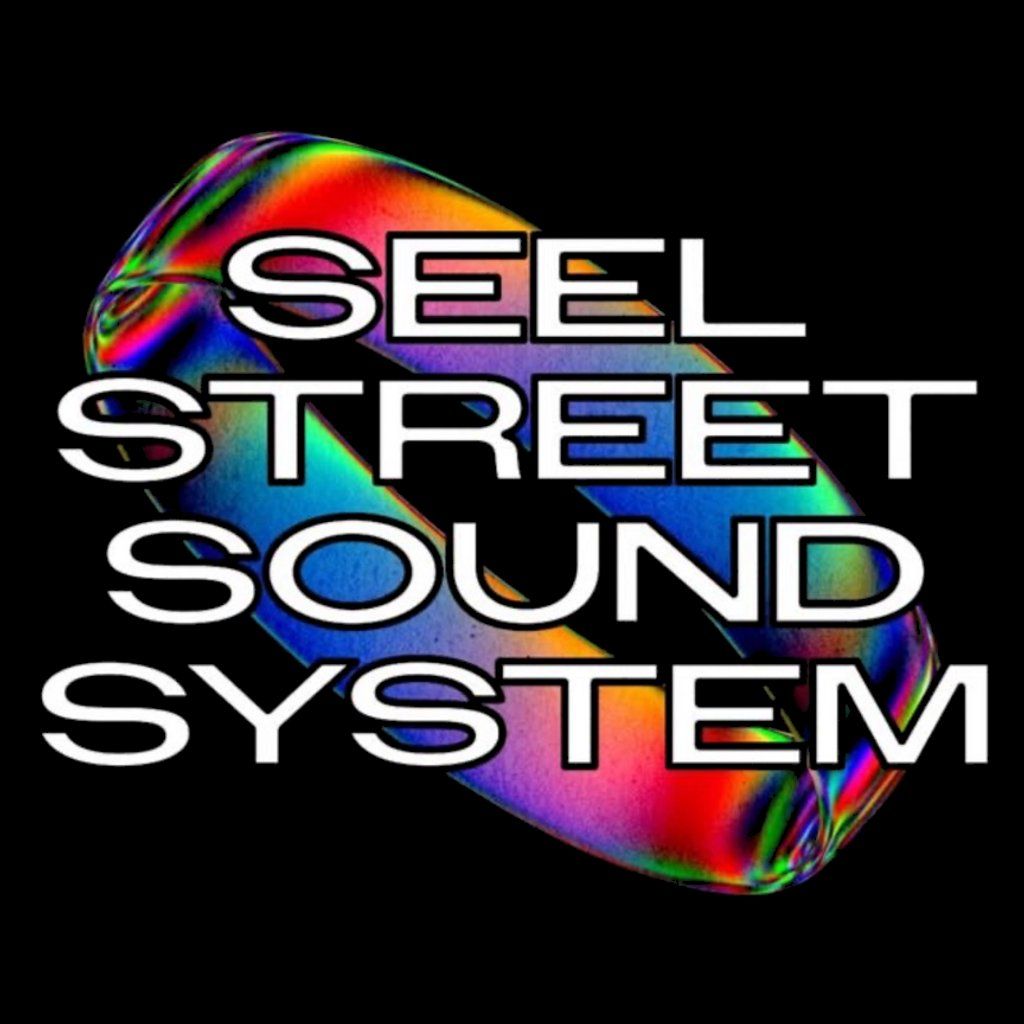 Seelstreet Soundsystem : Charity Skank!