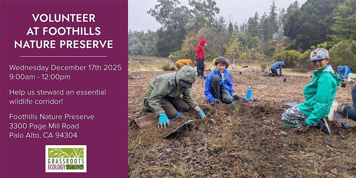 Volunteer Outdoors in Palo Alto at Foothills Nature Preserve