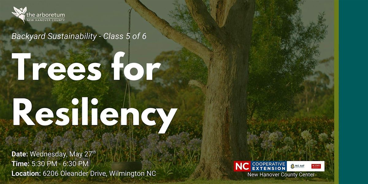 Backyard Sustainability Series: Trees for Resiliency