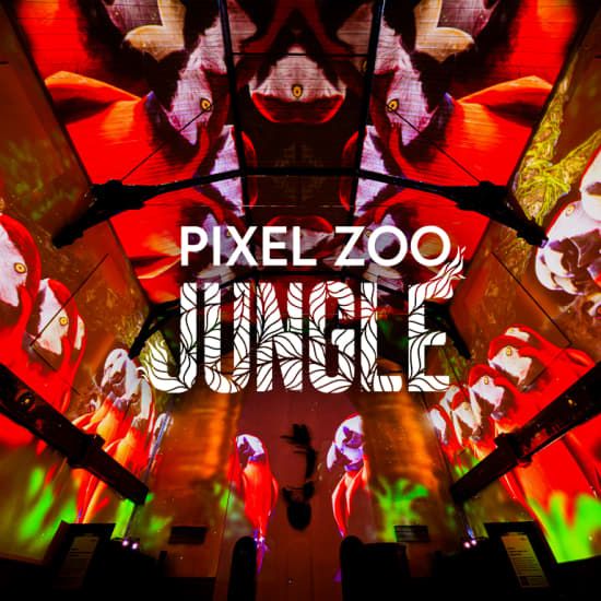 Pixel Zoo Jungle - Joue. Apprends. Explore.