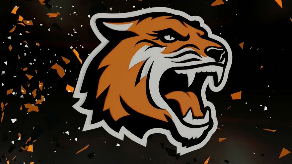 Rochester Institute of Technology Tigers at Lindenwood Lions Womens Hockey