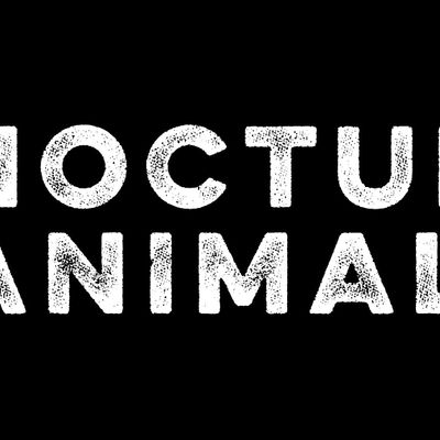 Nocturnal Animals