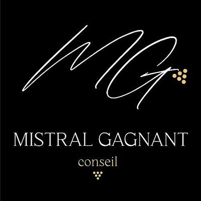 Mistral Gagnant Conseil