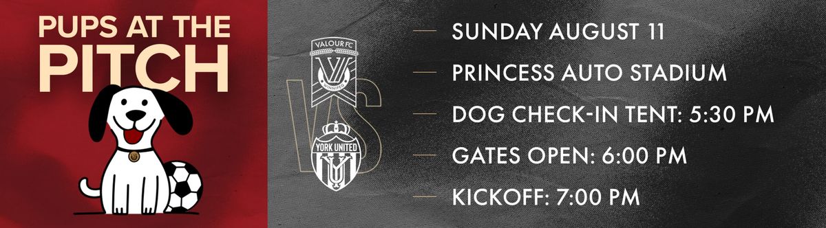 Valour FC vs. York United FC at Princess Auto Stadium