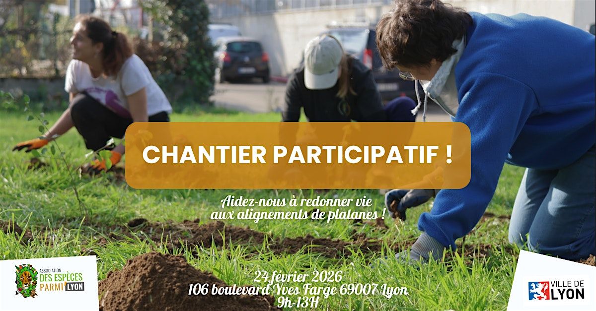Plantation collective sur la voirie