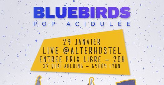 Bluebirds live