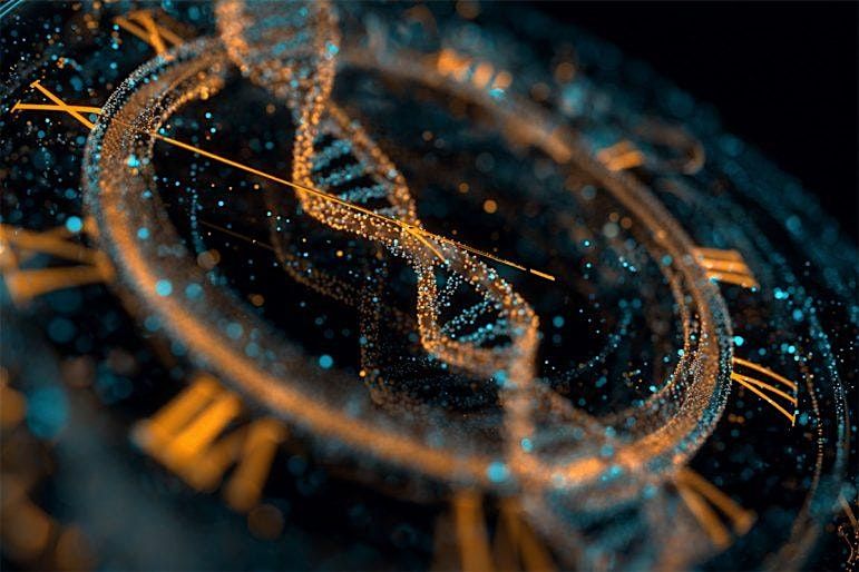 Life\u2019s 24 Hour Clock