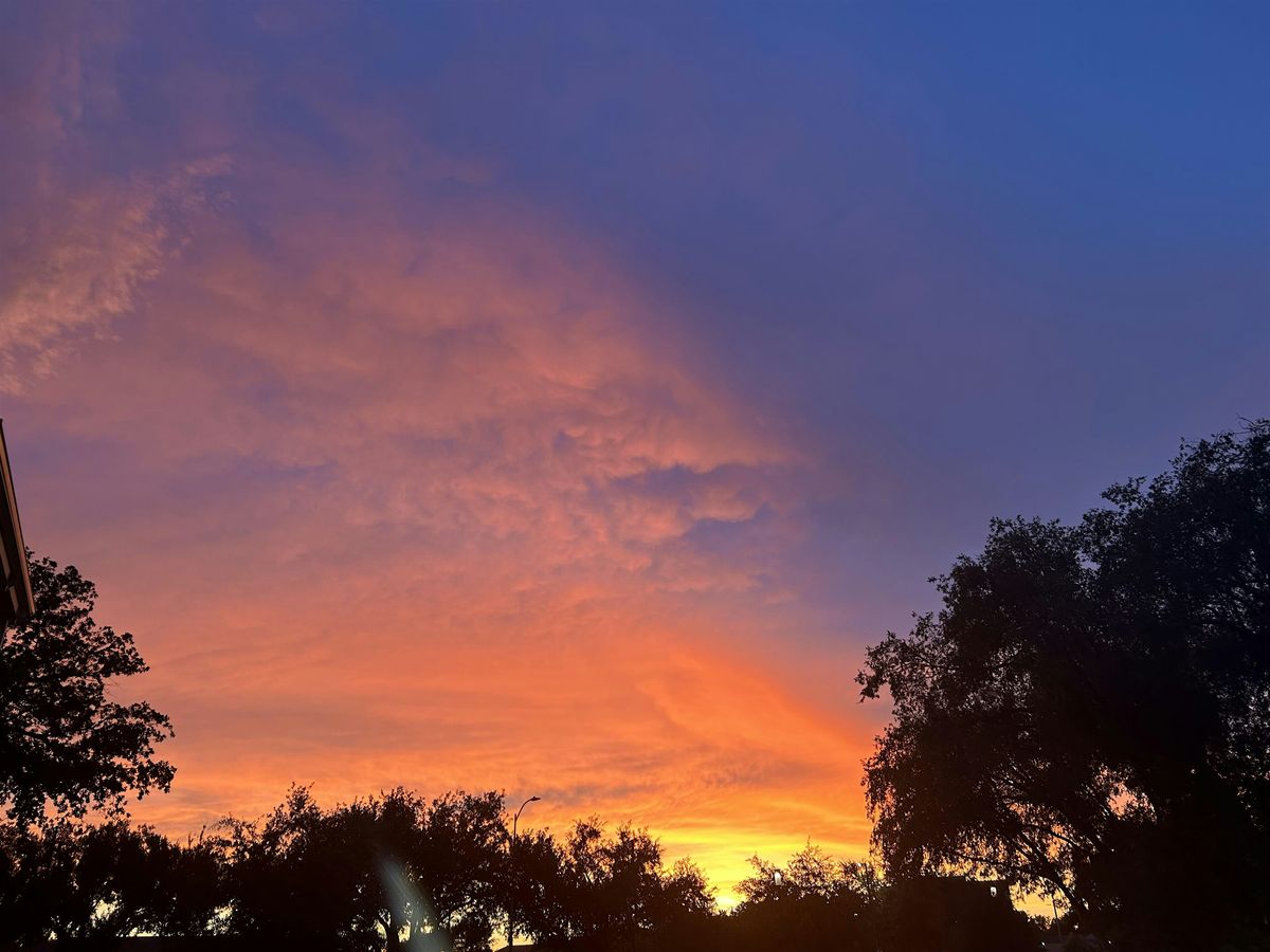 Sunset Unwind At The Park