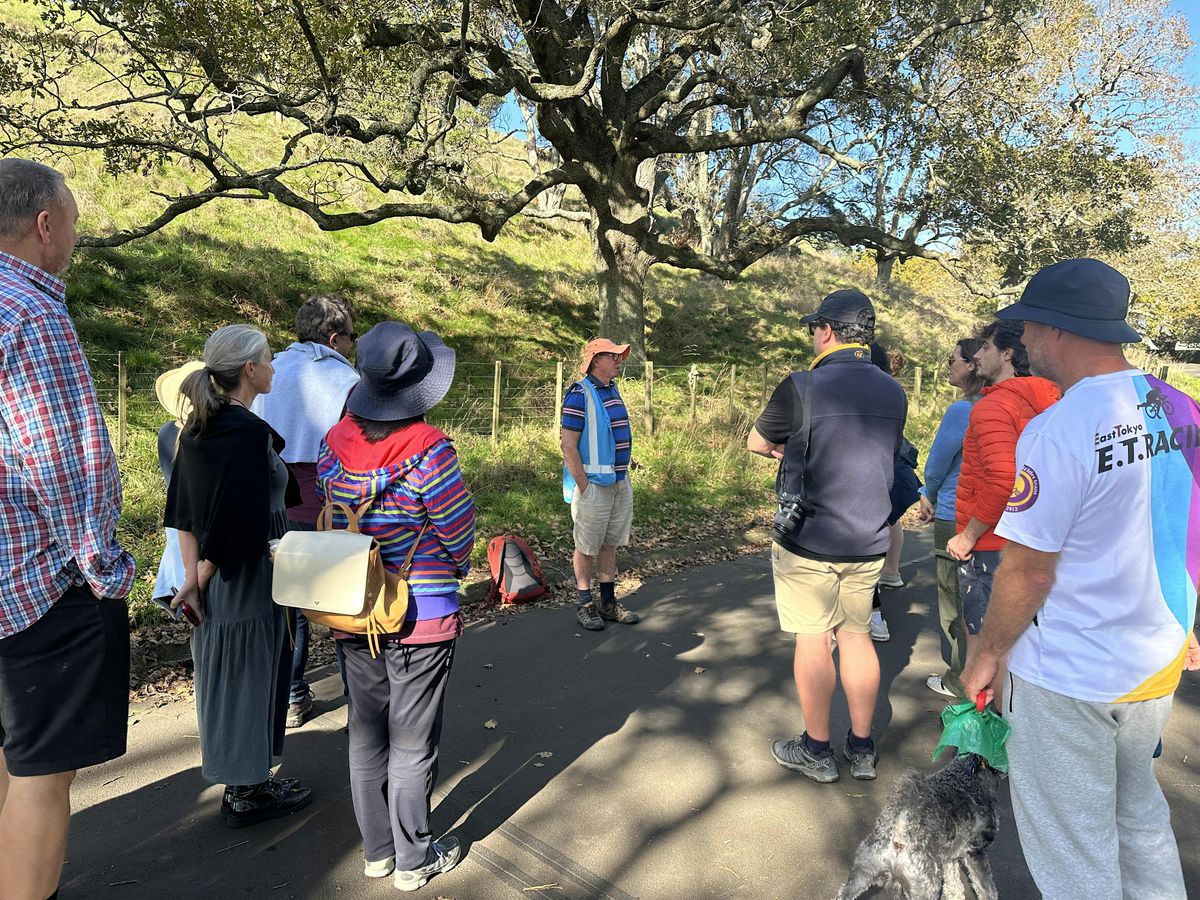 Guided Walk: Volcanoes