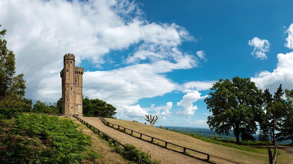 Queer Theatre Walk & Talk: Holmwood & Leith Hill, Surrey Hills Hike