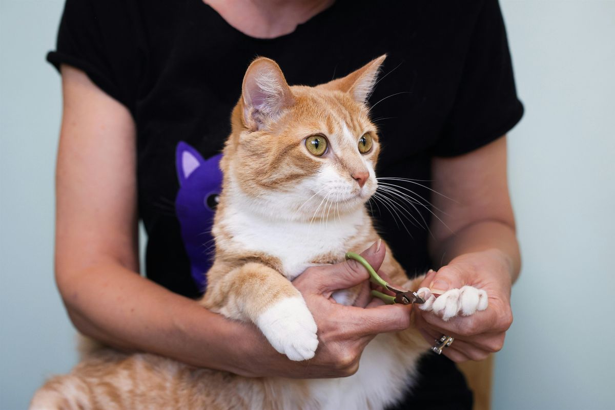Pet Supplies Plus Feline Rescue Cat Claw Clipping Clinic: Bloomington
